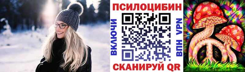 закладки  Оха  Галлюциногенные грибы MAGIC MUSHROOMS 