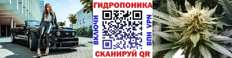 Канабис ГИДРОПОН Оха